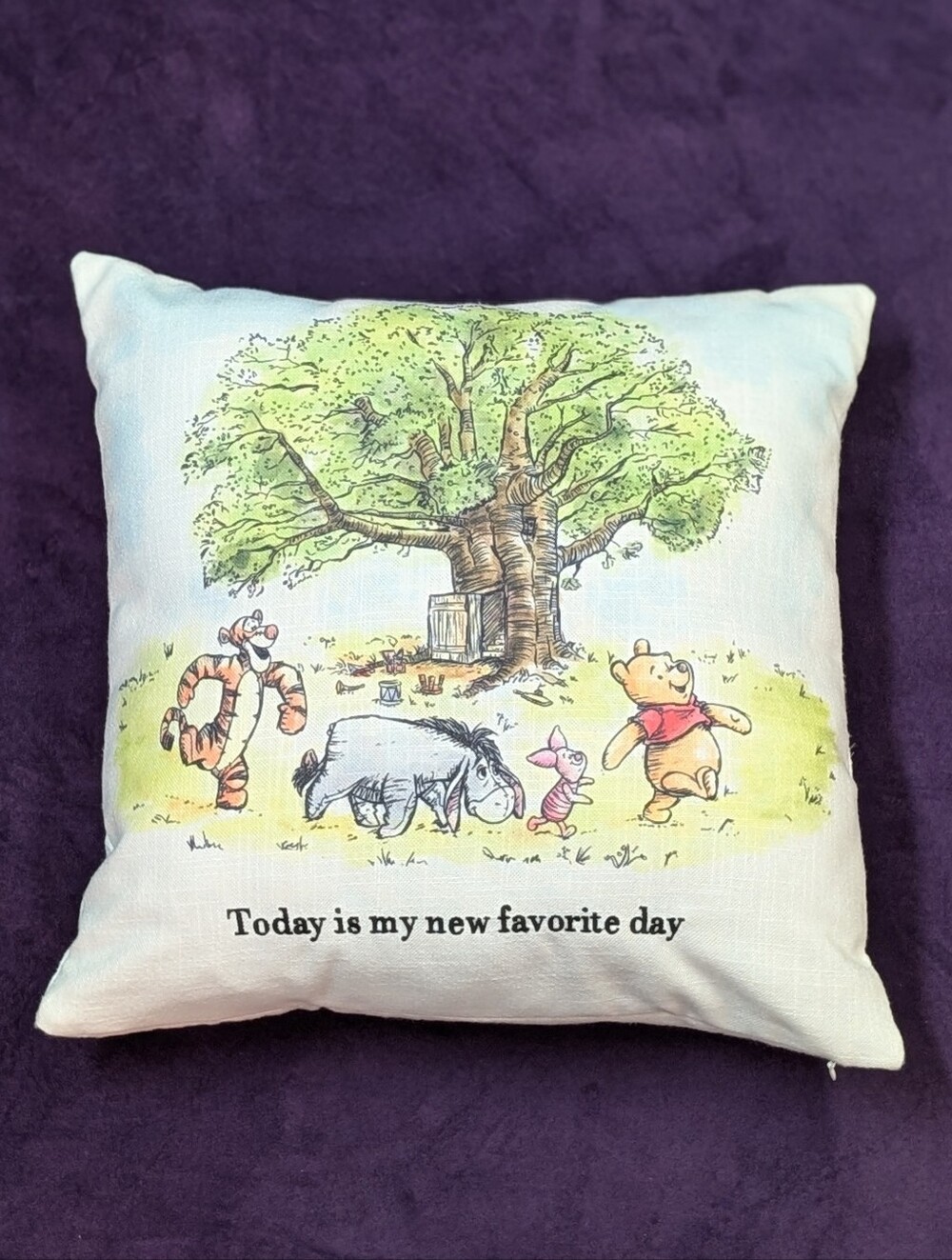 Disney Parks Winnie the Pooh Throw Pillow Removable Cover